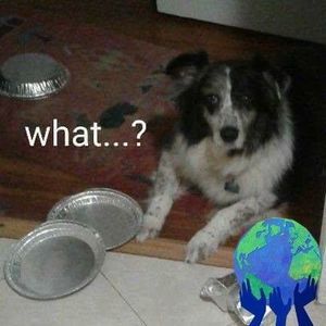 Meet your Posher, Jon